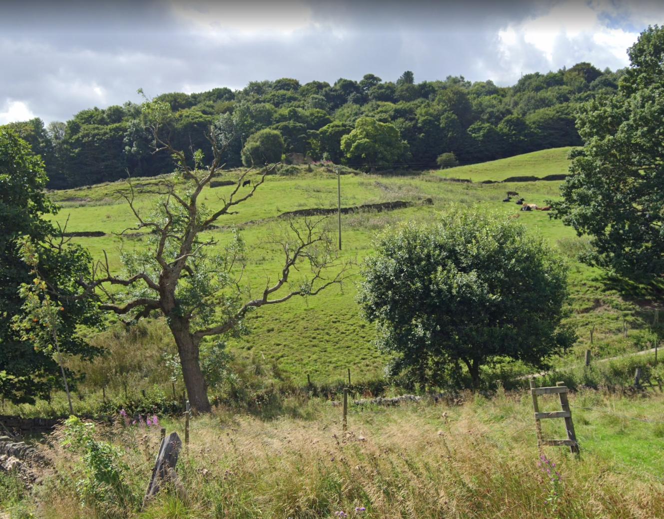 Ramsden, near Ovenden, Yorkshire